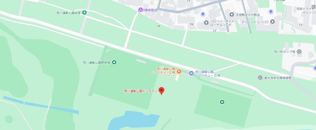 荒川運動公園の河川敷とドッグランの全景